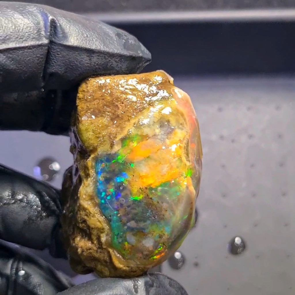 365 Carats | Ethiopian Jumbo Water Opal Specimen grade | Brilliant play of colour| 56x44mm