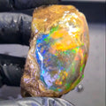365 Carats | Ethiopian Jumbo Water Opal Specimen grade | Brilliant play of colour| 56x44mm