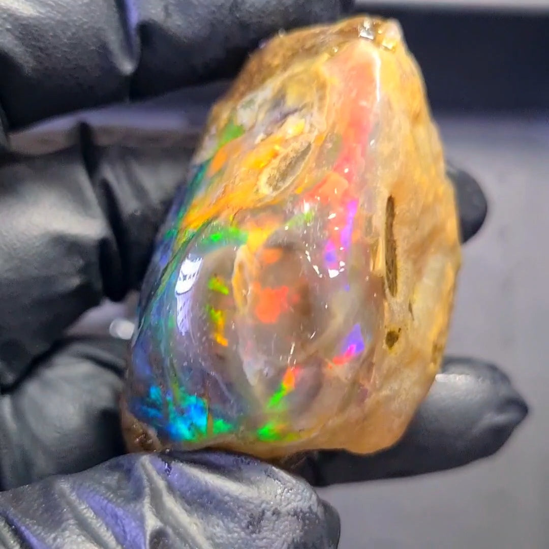 365 Carats | Ethiopian Jumbo Water Opal Specimen grade | Brilliant play of colour| 56x44mm