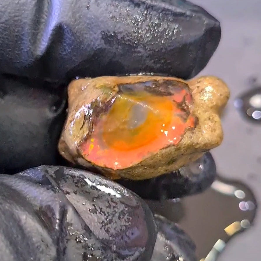 44 Carats | Ethiopian Water Opal Specimen grade | Brilliant play of colour| 30x17mm