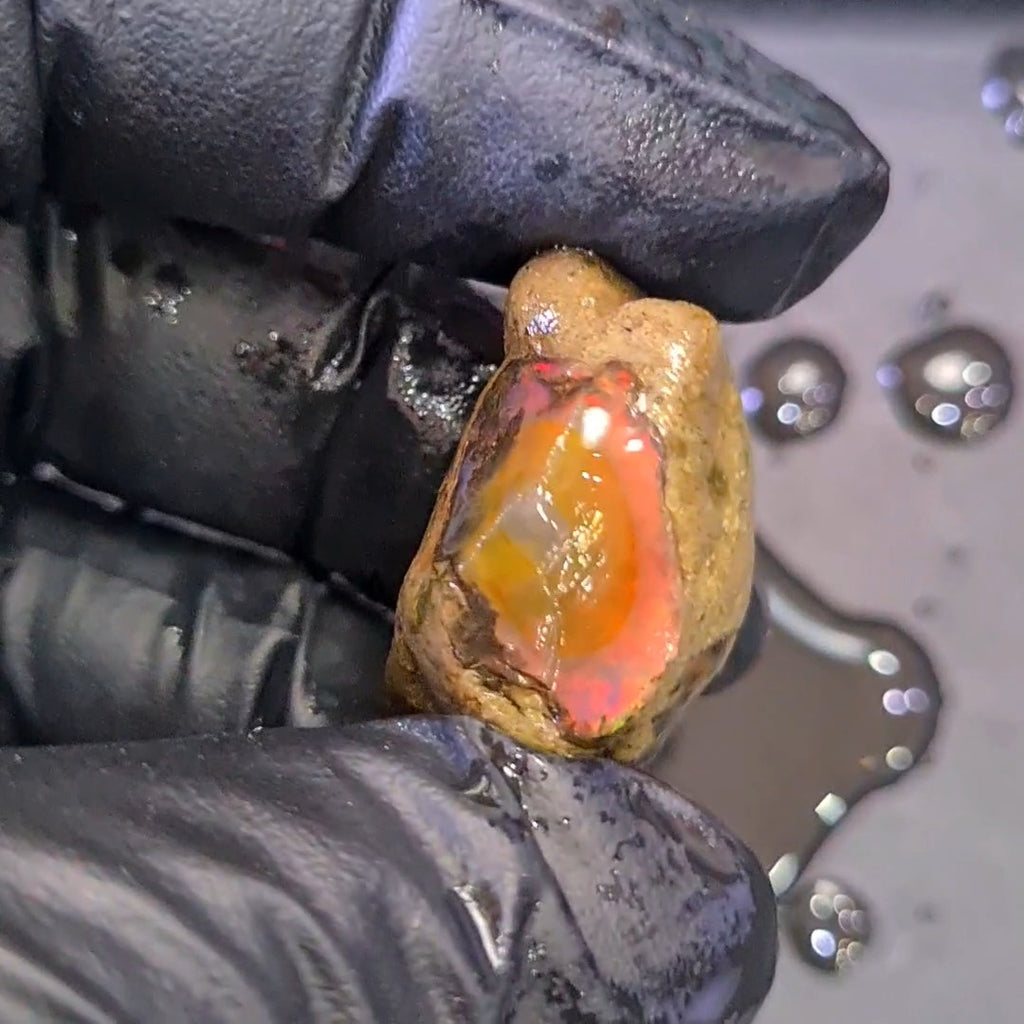 44 Carats | Ethiopian Water Opal Specimen grade | Brilliant play of colour| 30x17mm
