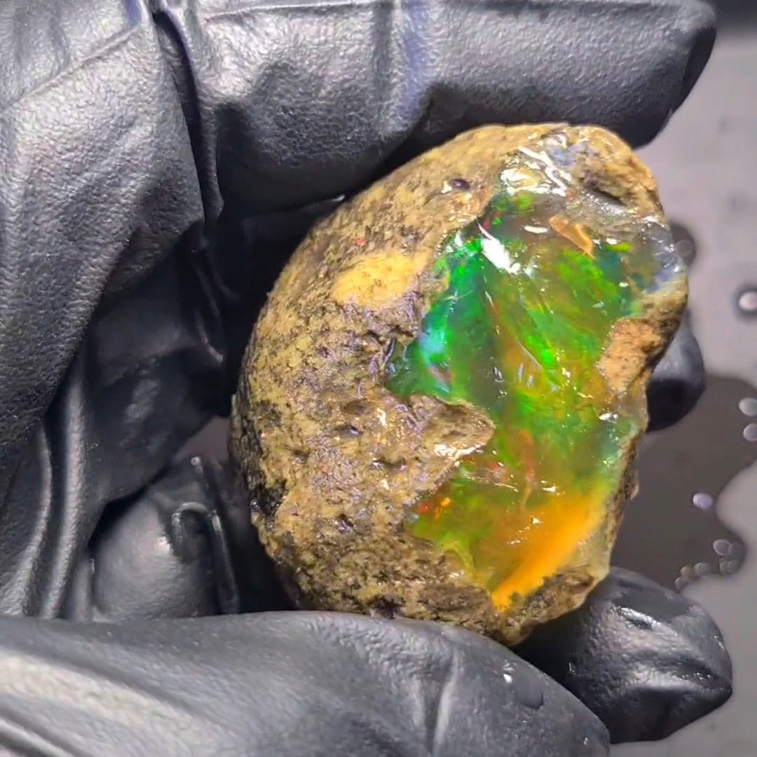 248Carats | Ethiopian  Water Opal Specimen grade | Brilliant play of colour| 47x40mm