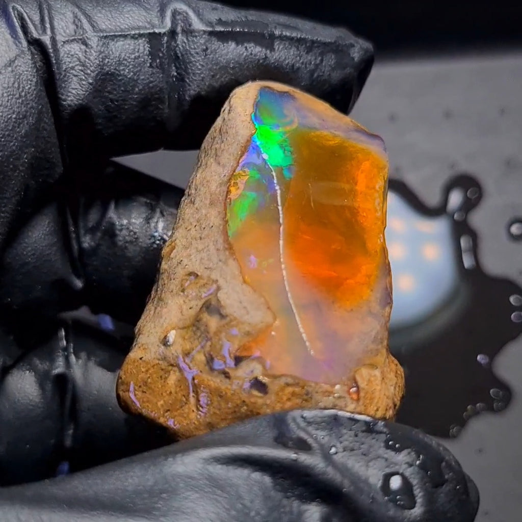 266 Carats | Ethiopian Jumbo Water Opal Specimen grade | Brilliant play of colour| 59x37mm