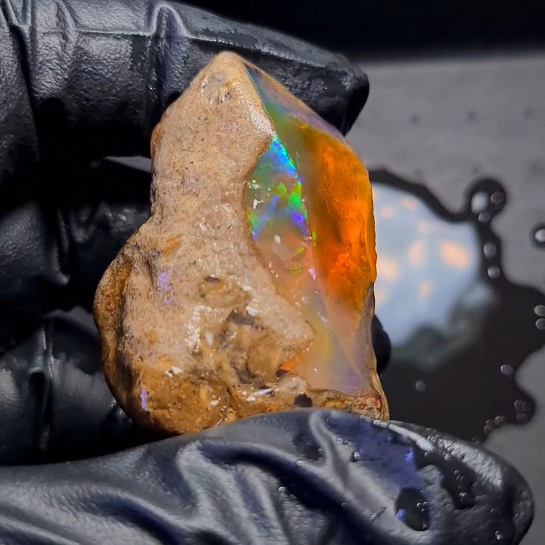 266 Carats | Ethiopian Jumbo Water Opal Specimen grade | Brilliant play of colour| 59x37mm