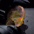 165 Carats | Ethiopian Water Opal Specimen grade | Brilliant play of colour| 42x38mm