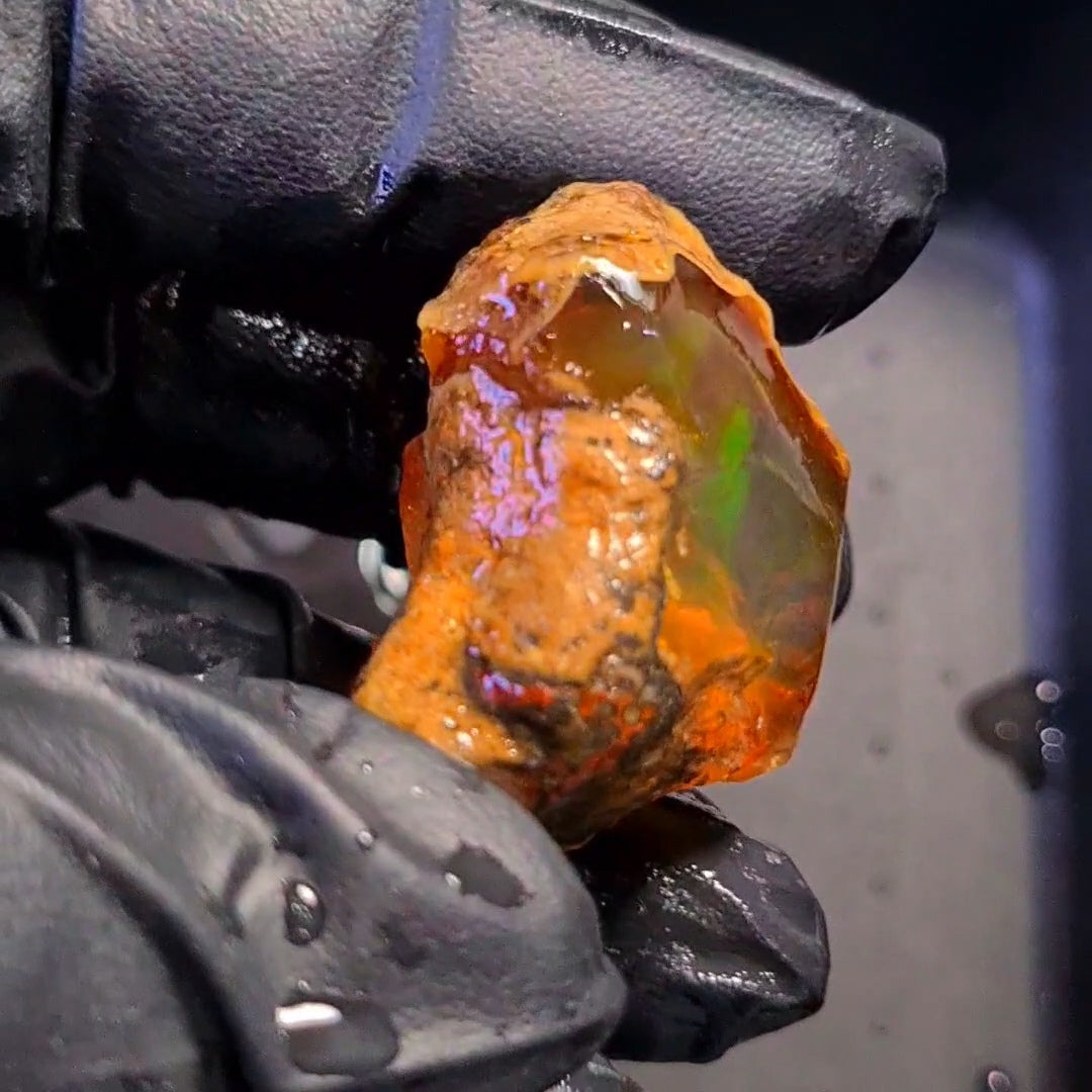 100 Carats | Ethiopian Water Opal Specimen grade | Brilliant play of colour| 37x31mm