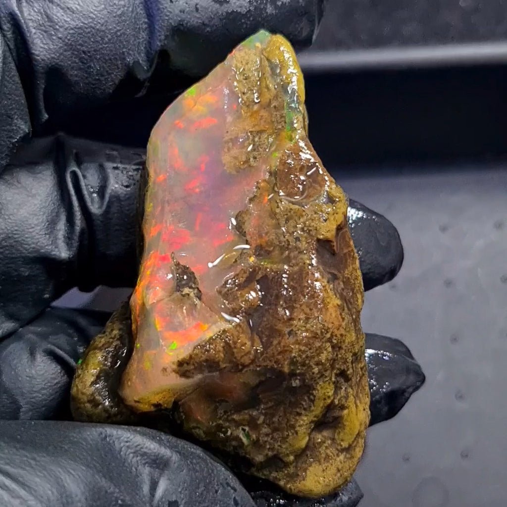 280Carats | Ethiopian Water Opal Specimen grade | Brilliant play of colour| 67x43mm
