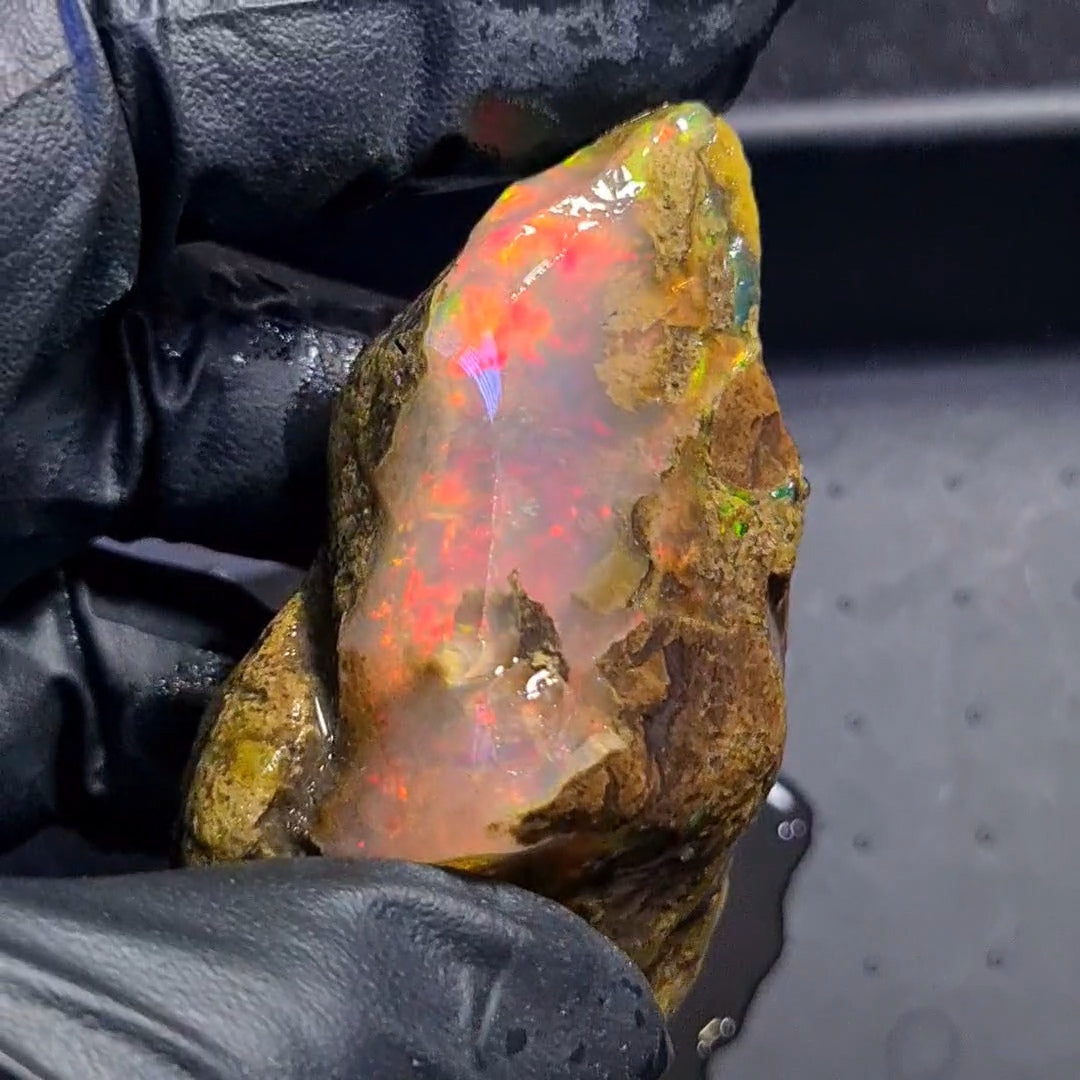 280Carats | Ethiopian Water Opal Specimen grade | Brilliant play of colour| 67x43mm