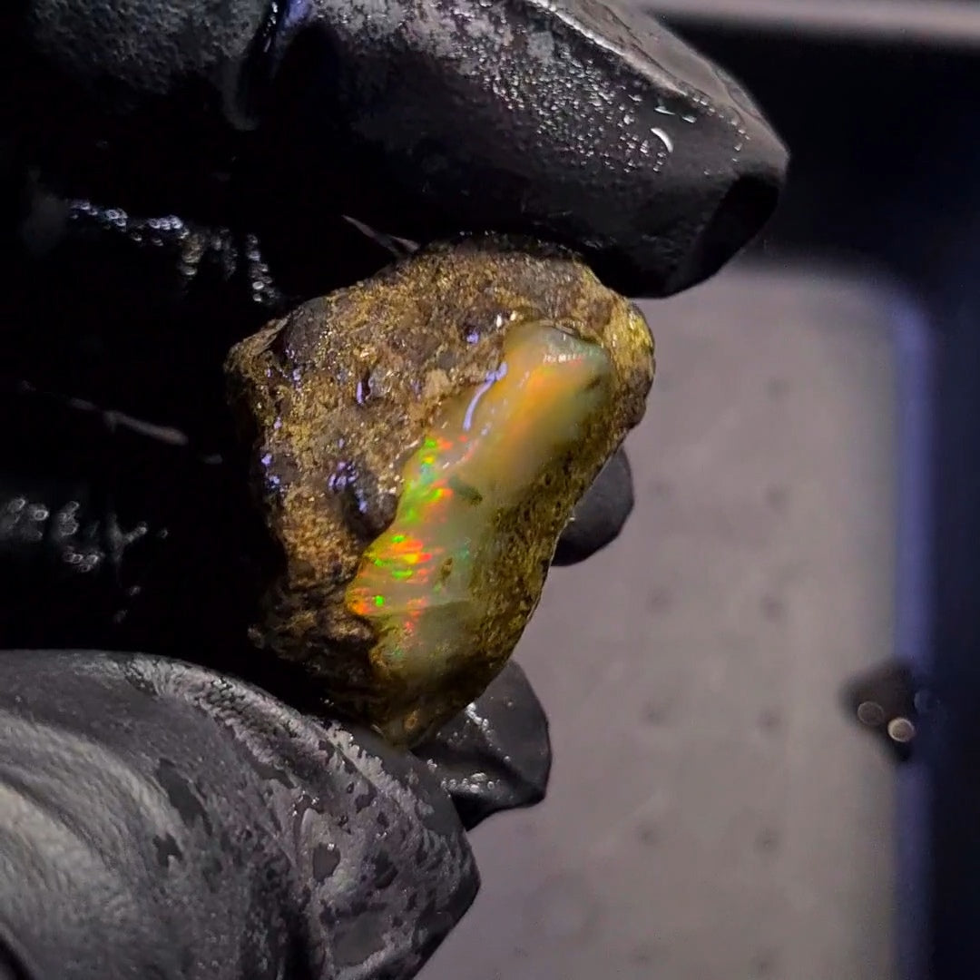 58Carats | Ethiopian Water Opal Specimen grade | Brilliant play of colour| 32x22mm