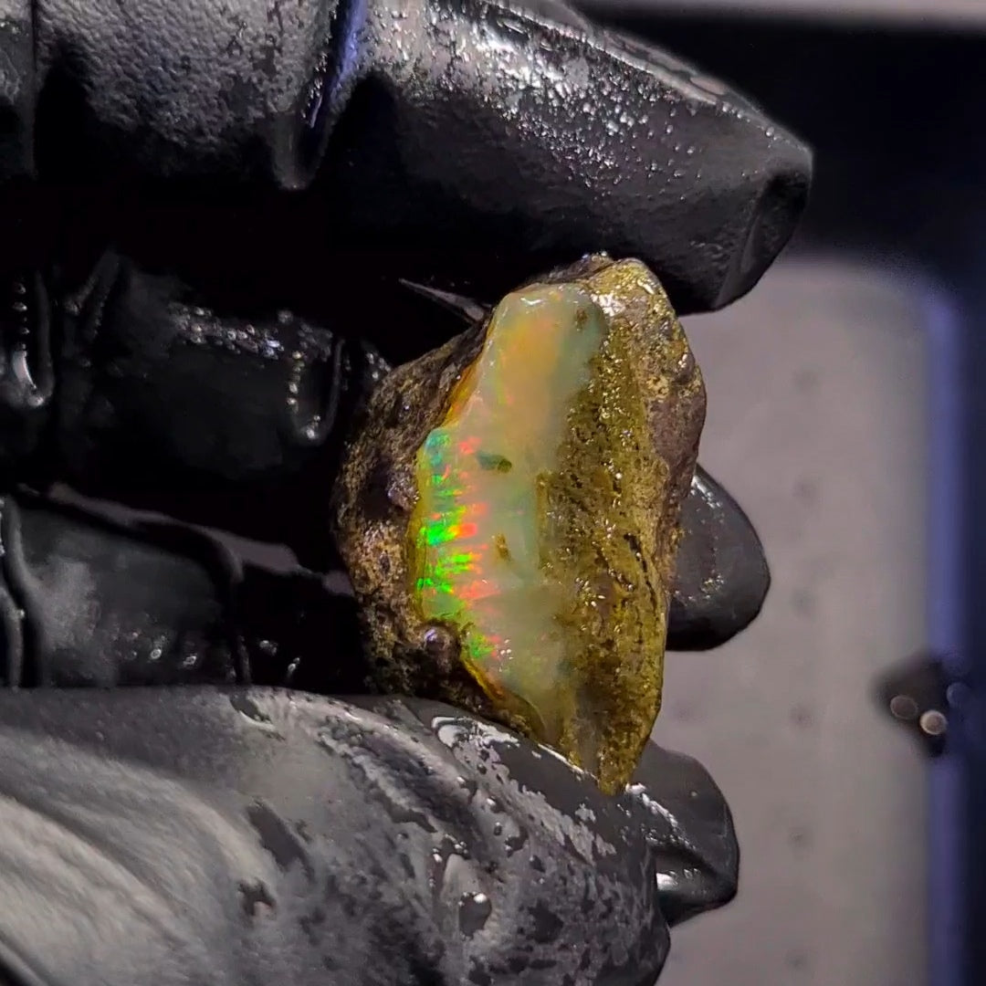 58Carats | Ethiopian Water Opal Specimen grade | Brilliant play of colour| 32x22mm