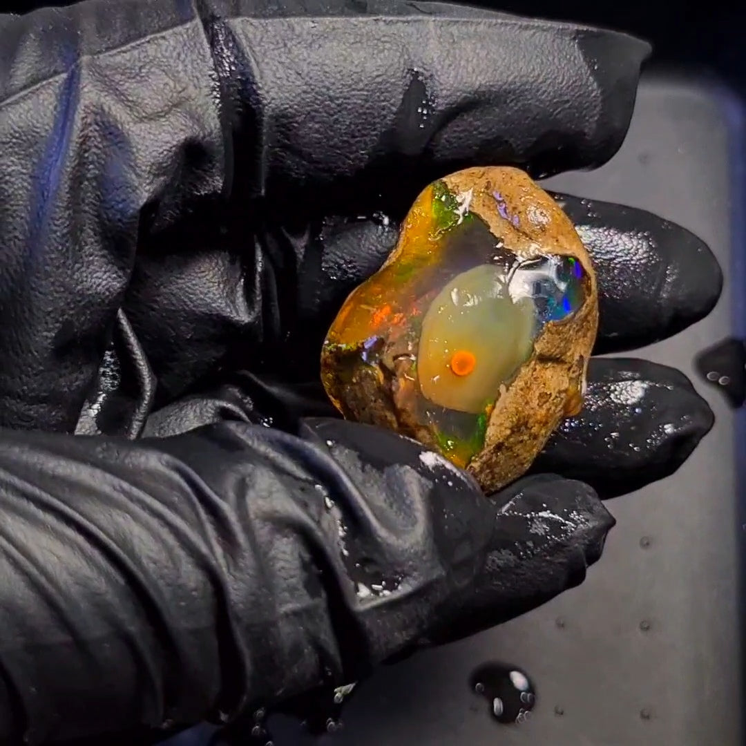 115Carats | Ethiopian Phantom Water Opal Specimen grade | Brilliant play of colour| 35x29mm