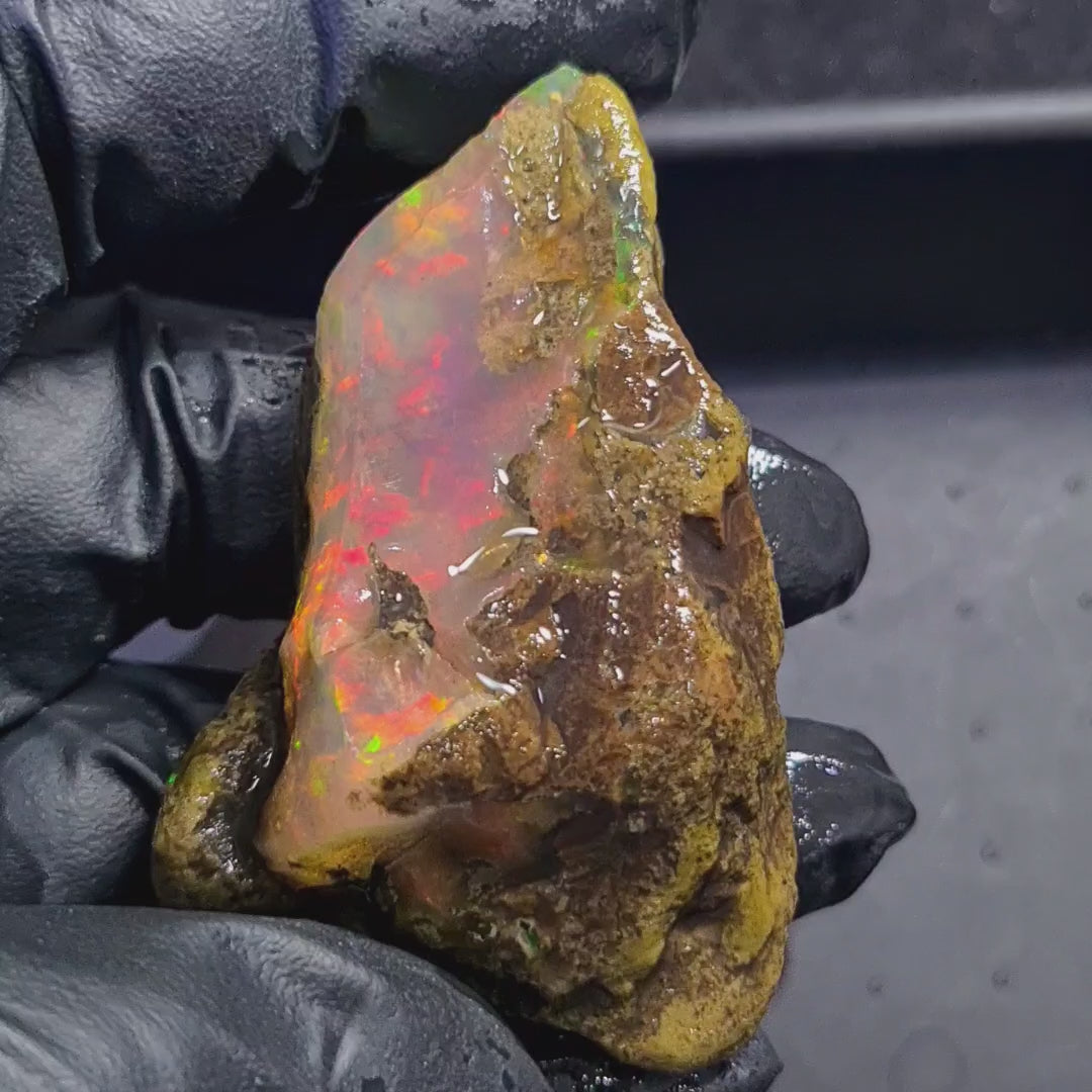 280Carats | Ethiopian Water Opal Specimen grade | Brilliant play of colour| 67x43mm