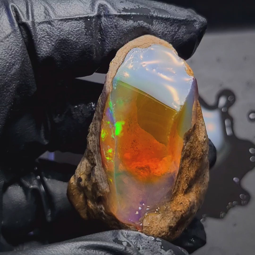 266 Carats | Ethiopian Jumbo Water Opal Specimen grade | Brilliant play of colour| 59x37mm