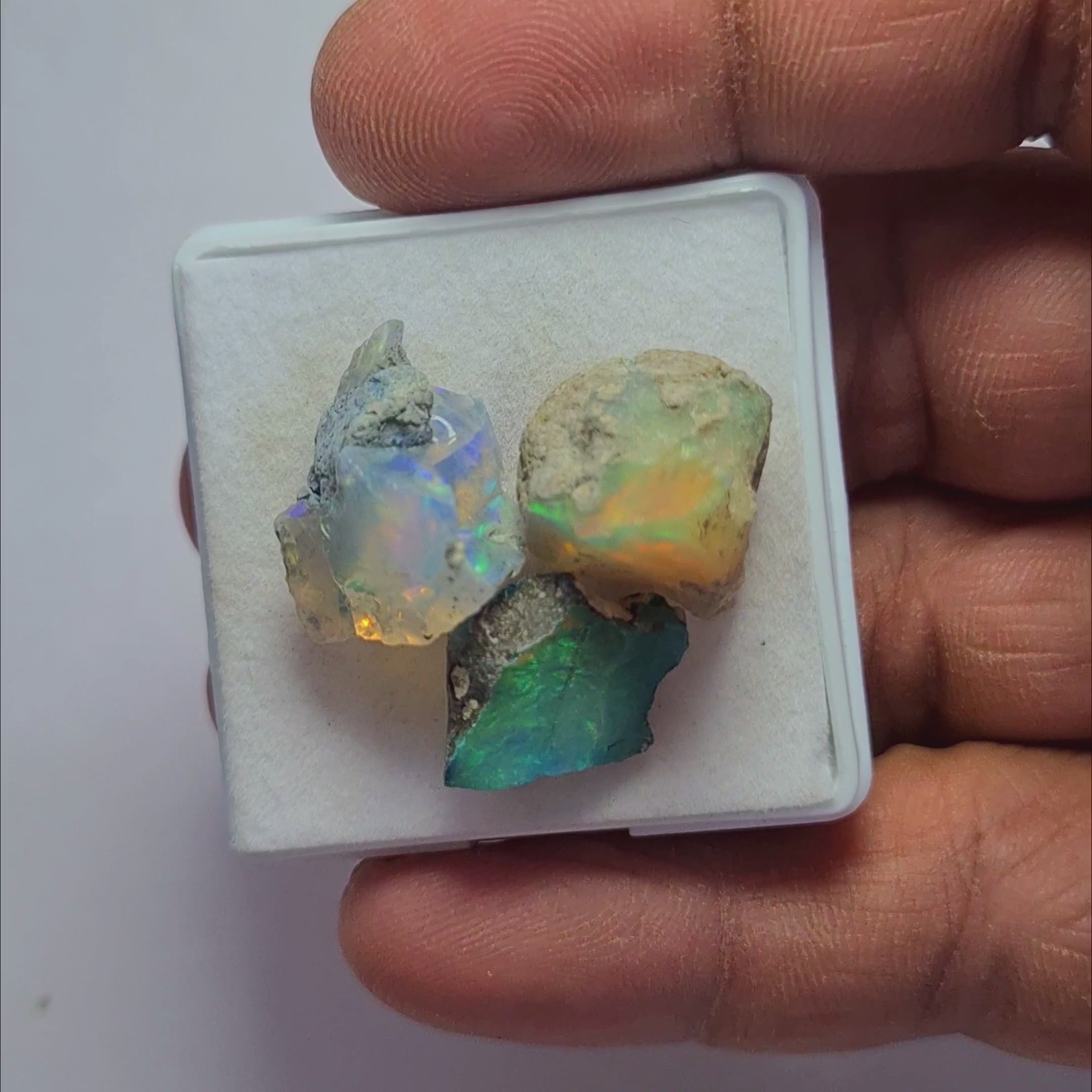 3 Pcs Natural Black Opal Rough | Size: 14-19mm